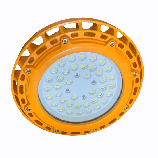 Exproof LED Light 60-100W LED Exproof Flood Light for Gas Station