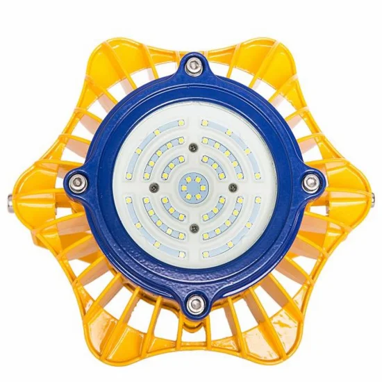 Lumière LED dangereuse antidéflagrante 50 W, 3 000 K